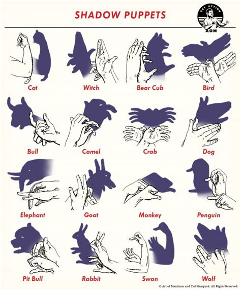 shadow puppets surveillance|How to Make 16 Shadow Puppets .
